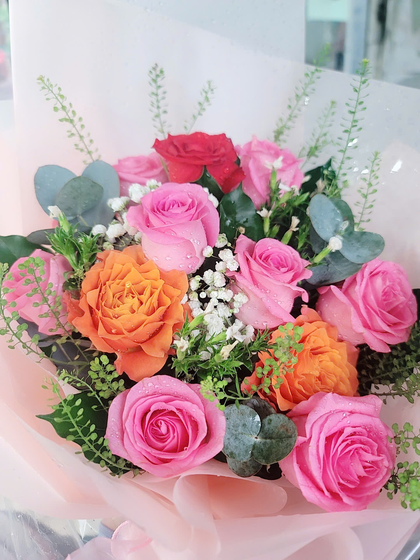 z7055290896039_039_0a8279e0633910c8c2f4e0f2575f16d4